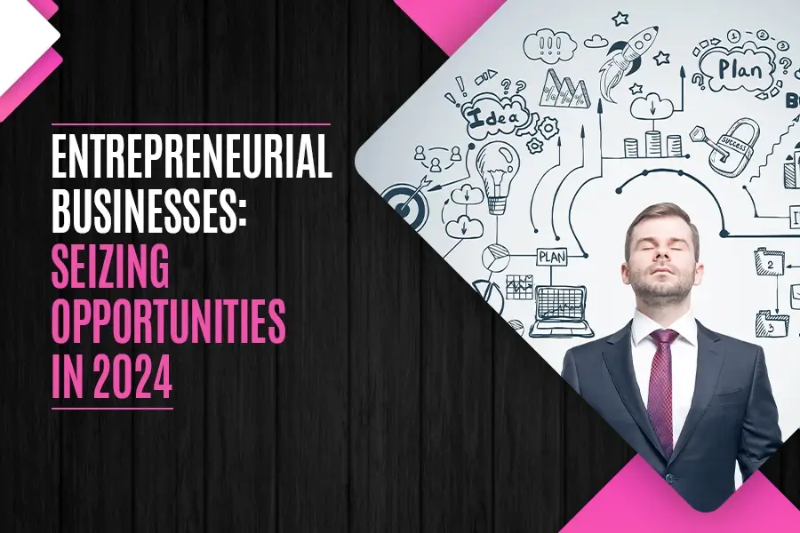 Entrepreneurial Businesses: Seizing Opportunities in 2024 - Valasys Business